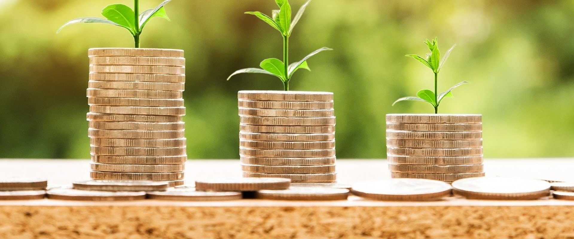 5 Best Incubator Programs for Companies Formed in Dubai